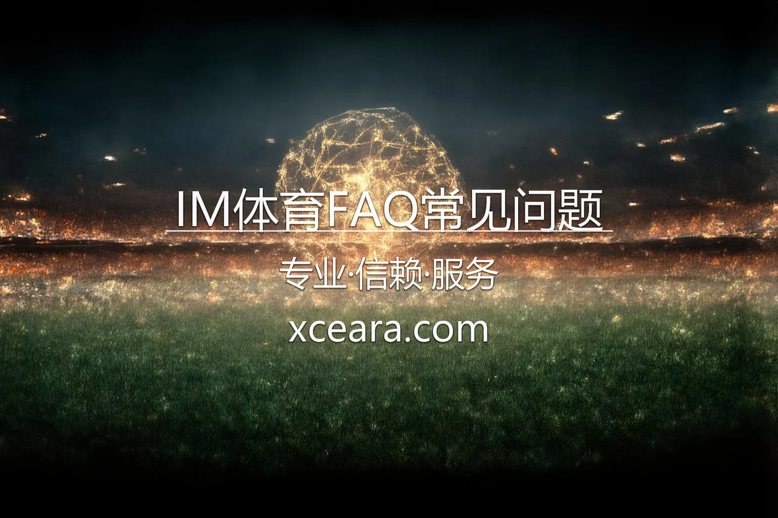IM体育FAQ常见问题 官方海报
